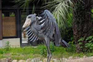 Noichi Zoological Park of Kochi Prefecture